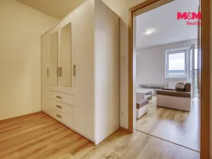 Pronájem bytu 1+kk, Plasy, U Václava, 38 m2