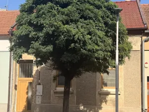 Prodej rodinného domu, Prostějov, Tovačovského, 104 m2