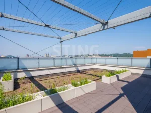 Prodej bytu 4+kk, Ostrava - Moravská Ostrava, Jantarová, 130 m2