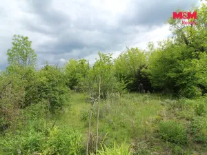 Prodej zahrady, Přezletice, 300 m2