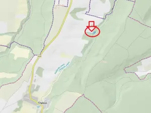 Prodej lesa, Třeboc, 1785 m2