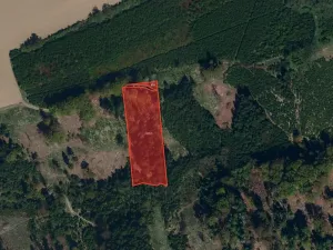 Prodej lesa, Kaliště, 5121 m2