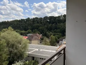 Prodej bytu 2+1, Děčín, Na Pěšině, 50 m2