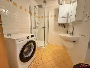 Pronájem bytu 2+kk, Praha - Vinohrady, Přemyslovská, 61 m2