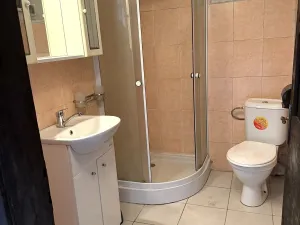 Prodej chalupy, Čechočovice, 130 m2