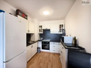 Pronájem bytu 2+kk, Bílina - Pražské Předměstí, Aléská, 49 m2