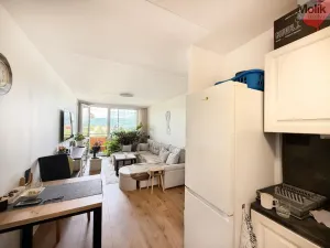 Pronájem bytu 2+kk, Bílina - Pražské Předměstí, Aléská, 49 m2