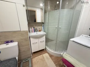 Pronájem bytu 2+kk, Bílina - Pražské Předměstí, Aléská, 49 m2