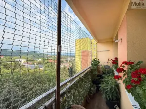 Pronájem bytu 2+kk, Bílina - Pražské Předměstí, Aléská, 49 m2