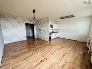 Prodej bytu 3+1, Most, Česká, 62 m2