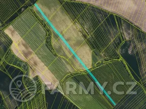 Prodej podílu pole, Čejkovice, 194311 m2