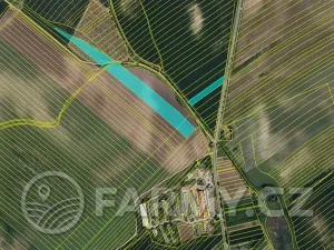 Prodej podílu pole, Čejkovice, 194311 m2
