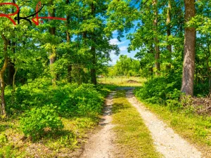 Prodej zahrady, Černouček, 5000 m2
