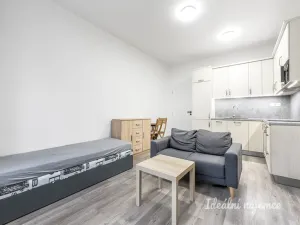 Pronájem bytu 1+kk, Praha - Braník, Nad přívozem, 29 m2