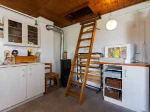 Prodej chaty, Bílina - Pražské Předměstí, Mládežnická, 35 m2