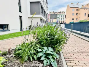Pronájem bytu 1+kk, Písek - Pražské Předměstí, Pražská, 35 m2