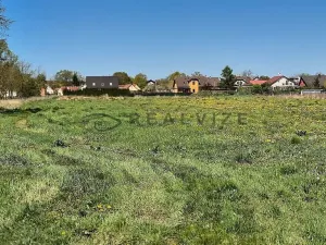 Prodej pozemku pro bydlení, Čejkovice, 900 m2