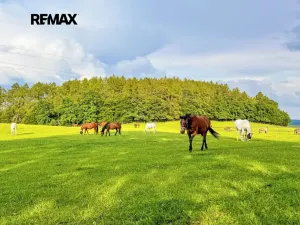 Prodej pozemku pro bydlení, Lhenice, 1868 m2