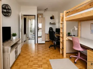 Pronájem bytu 2+1, Hodonín, Cihlářská čtvrť, 54 m2
