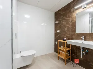 Pronájem bytu 1+kk, Olomouc - Nová Ulice, Třída Jiřího Pelikána, 33 m2