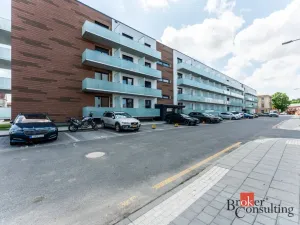 Pronájem bytu 1+kk, Olomouc - Nová Ulice, Třída Jiřího Pelikána, 33 m2