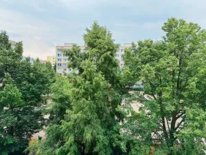 Pronájem bytu 3+1, Praha - Stodůlky, Borovanského, 80 m2