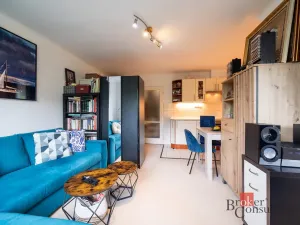 Pronájem bytu 1+kk, Praha - Střešovice, Na Petynce, 38 m2