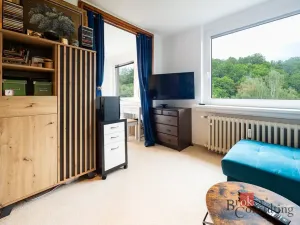 Pronájem bytu 1+kk, Praha - Střešovice, Na Petynce, 38 m2