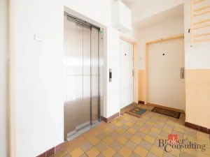 Pronájem bytu 1+kk, Praha - Střešovice, Na Petynce, 38 m2