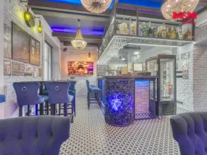 Prodej ubytování, Karlovy Vary, Foersterova, 207 m2
