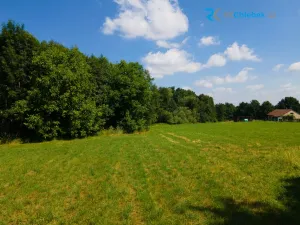 Prodej pozemku pro bydlení, Rychvald, 2990 m2