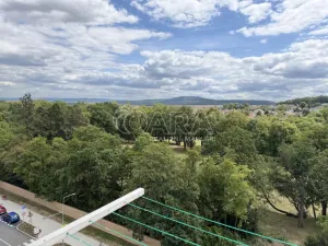 Prodej bytu 2+kk, Hořovice, U Remízku, 40 m2