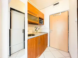 Pronájem bytu 1+kk, Brno, Jedovnická, 20 m2