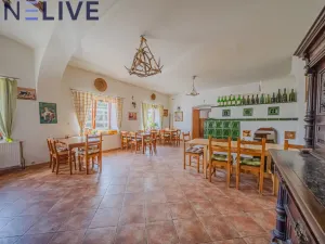 Prodej ubytování, Úlice, 600 m2