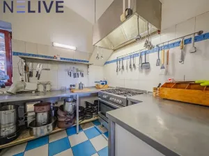 Prodej ubytování, Úlice, 600 m2