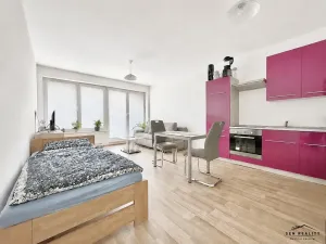 Pronájem bytu 1+kk, Pardubice, Jana Hrubého, 33 m2