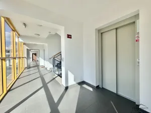 Pronájem bytu 1+kk, Pardubice, Jana Hrubého, 33 m2
