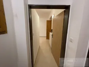 Pronájem bytu 2+kk, Plzeň - Jižní Předměstí, Borská, 45 m2