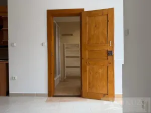 Pronájem bytu 2+kk, Plzeň - Jižní Předměstí, Borská, 50 m2