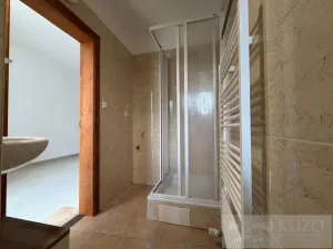 Pronájem bytu 2+kk, Plzeň - Jižní Předměstí, Borská, 50 m2