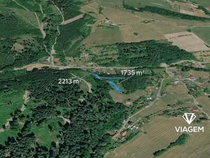 Prodej lesa, Mikulůvka, 3828 m2