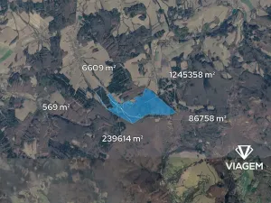 Prodej podílu lesa, Šanov, 16916 m2
