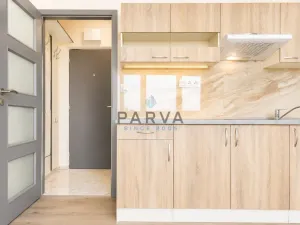 Prodej bytu 1+kk, Plzeň - Jižní Předměstí, U Borského parku, 21 m2