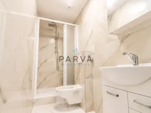 Prodej bytu 1+kk, Plzeň - Jižní Předměstí, U Borského parku, 21 m2