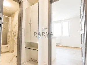 Prodej bytu 1+kk, Plzeň - Jižní Předměstí, U Borského parku, 21 m2