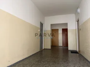 Prodej bytu 1+kk, Plzeň - Jižní Předměstí, U Borského parku, 21 m2