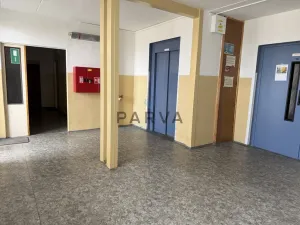 Prodej bytu 1+kk, Plzeň - Jižní Předměstí, U Borského parku, 21 m2