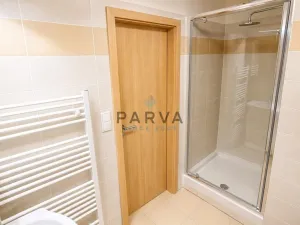 Pronájem bytu 1+kk, Plzeň - Jižní Předměstí, Nemocniční, 30 m2