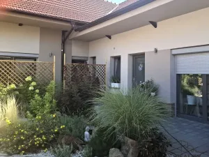 Pronájem bytu 2+kk, Velké Pavlovice, Hlavní, 50 m2