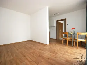 Pronájem bytu 1+kk, Velké Pavlovice, Hlavní, 33 m2
